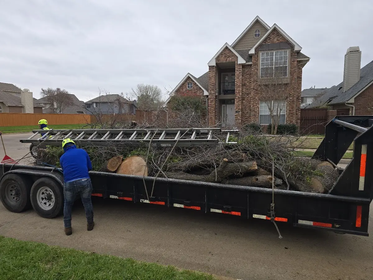 Expert Lot Clearing with proper safety equipment in Eldorado